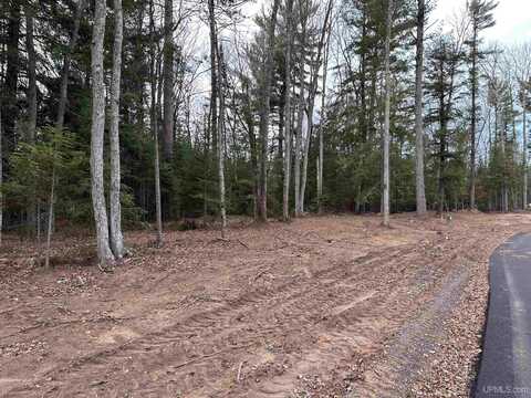 Lot 5 Parker, Marquette, MI 49855