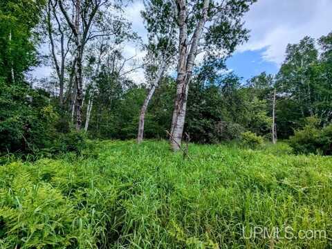 East 10 acres Fairbanks, Crystal Falls, MI 49920