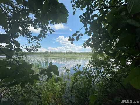 TBD W Brule Lake, Iron River, MI 49935