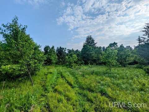 25 acre Trail #2, Iron River, MI 49935