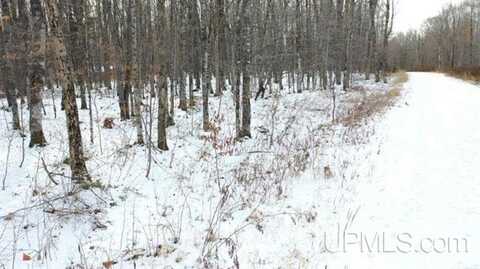 Lot 9 Elizabeth, Iron River, MI 49935