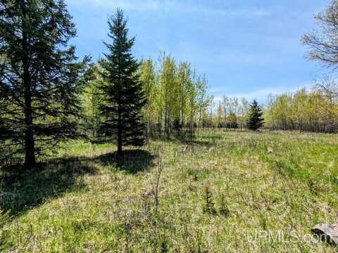 Lot 14 Willow, Gaastra, MI 49927