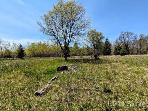 Lot 19 Willow, Gaastra, MI 49927