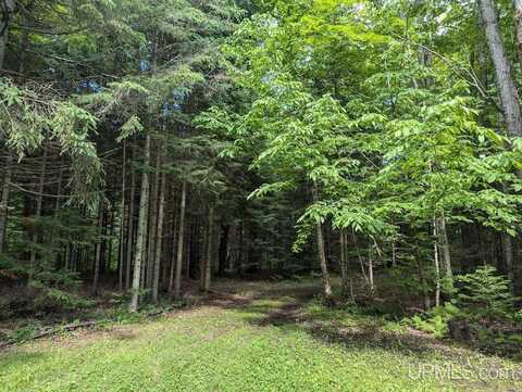 TBD Bond Falls, Bruce Crossing, MI 49912