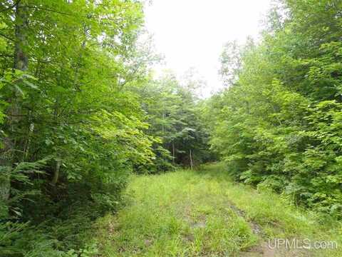 320 Acre Off Co Rd 510, Marquette, MI 49855