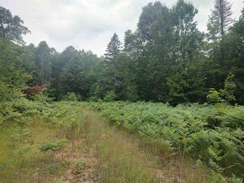 60 acres Sleepy Hollow, Ishpeming, MI 49849