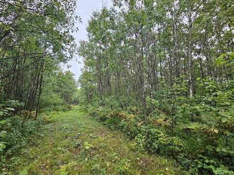 37.5ac Wide Waters, Crystal Falls, MI 49920