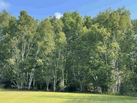 TBD County Road 492, Marquette, MI 49855