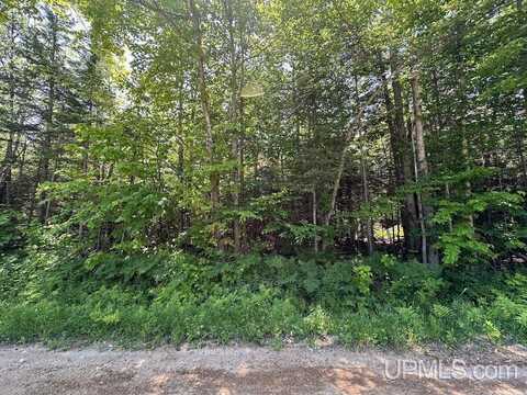 Parcel B Webb, Grand Marais, MI 49839