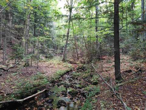 160 Acres Lost Creek, Marquette, MI 49855