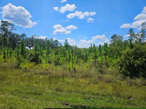 0 Upper Grand Bay Rd, Naylor, GA 31641