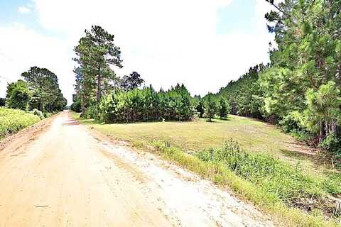 13.89 ac Lumby Smith & Hwy 37, Adel, GA 31620