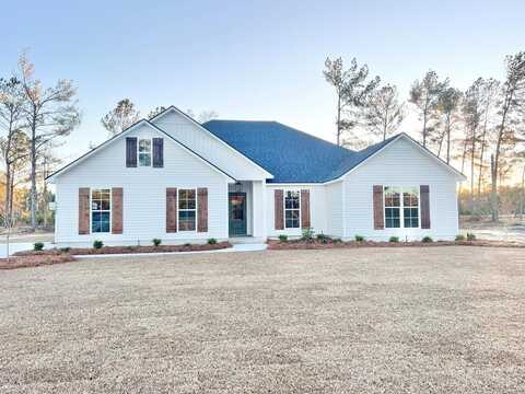 6446 Lake Alapaha Blvd, Naylor, GA 31641