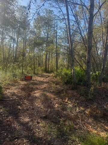 11.78 Acres White Water Rd., Valdosta, GA 31601