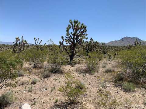 0000 MT LOCO Drive, Dolan Springs, AZ 86441