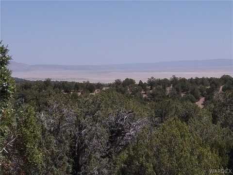 Lot 147 Antalope Run Road, Seligman, AZ 86337