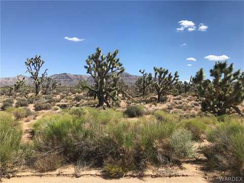 27042 N Peach Drive, Meadview, AZ 86444