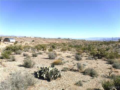 29580 N Driftwood Drive, Meadview, AZ 86444