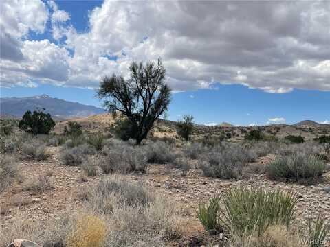 009b Cedar Ridge Way, Kingman, AZ 86401