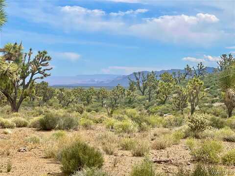 336-05-033 240 Acres, Meadview, AZ 86444