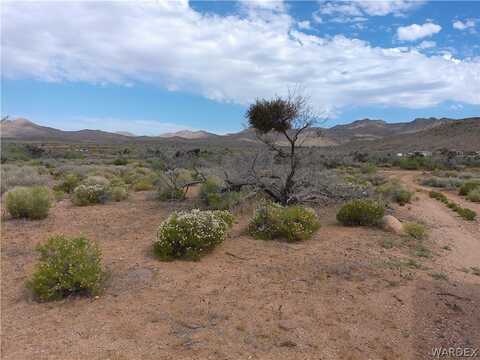 Lot 41 W 5th Street, Chloride, AZ 86431