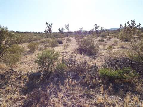 17773 LAUREL Drive, Dolan Springs, AZ 86441