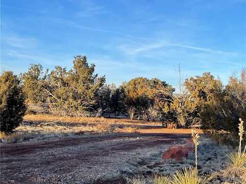 56341 N Shadow Mountain Parkway, Seligman, AZ 86337