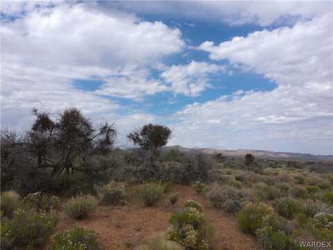 Lot 7 W 6th Street, Chloride, AZ 86431