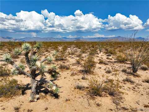 000 Rainbow Road, Yucca, AZ 86438