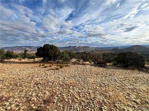 8310 N Northline Road, Hackberry, AZ 86411