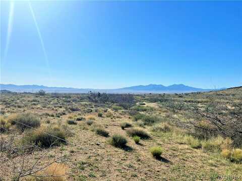 40 Acres Wilks Ranch Road, Kingman, AZ 86409