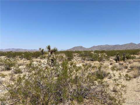 130 Acres, Dolan Springs, AZ 86441