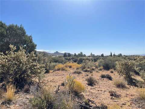 000 Tuckahoe Avenue, Chloride, AZ 86431