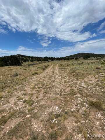 Parcel# 301-17-001M, Seligman, AZ 86337