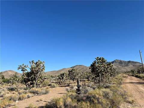 Lot 295 N SCENIC Drive, Dolan Springs, AZ 86441