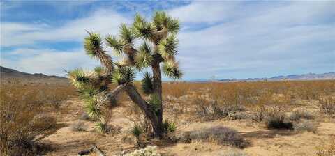 160 Acres W Silver Drive, Yucca, AZ 86438