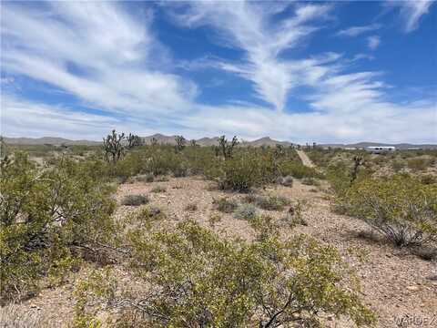 8849 W Wildhorse Drive, White Hills, AZ 86445