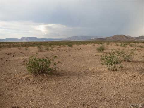 00  Lot 117 N Florence Road, Dolan Springs, AZ 86441