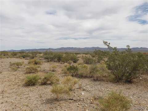 0000 N BECKY Road, Dolan Springs, AZ 86441