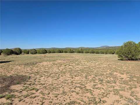 160 Acres Unnamed Rd Road, Seligman, AZ 86337