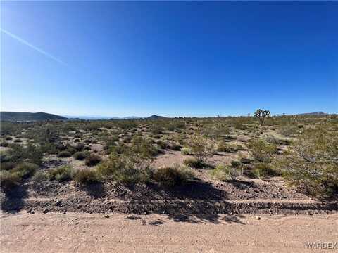 9029 W Olancha Drive, White Hills, AZ 86445