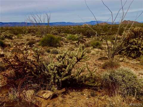 000 S Nash Road, Yucca, AZ 86438