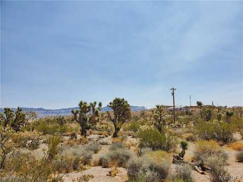 570 W Queen Tut Drive, Meadview, AZ 86444