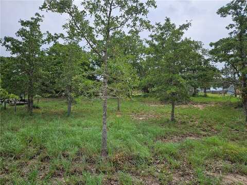 Lot 33 Apache Drive, Somerville, TX 77879