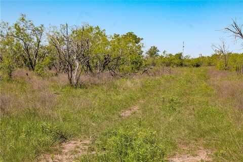 Tbd FM 2269, Cameron, TX 76520