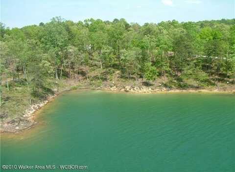 LOT # 52 OSPREV AVE, Arley, AL 35541