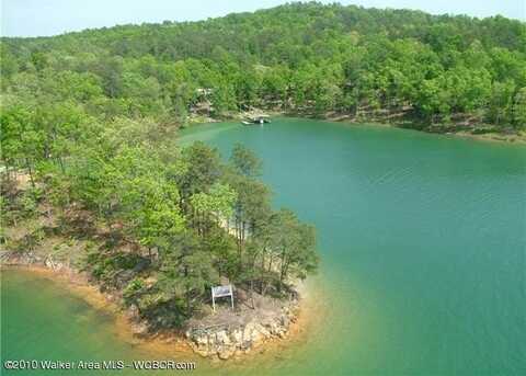 LOT # 12 KINGFISHER LN, Arley, AL 35541