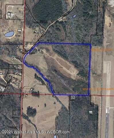 TALL OAK TRAIL, Hamilton, AL 35570