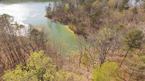 LOT 51 OSPREY AVE, Arley, AL 35540