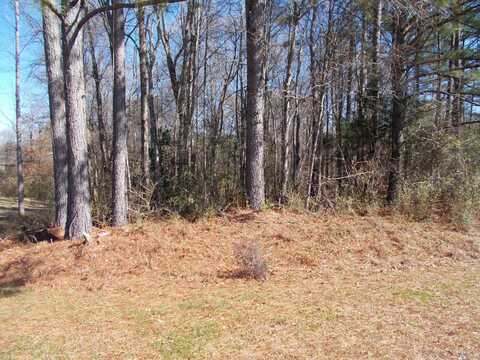 LOT 31 SARAH Ln, Jasper, AL 35504